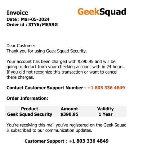 Geek squad scam